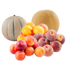 Abrikozen schaal à 500 gram,
perziken of nectarines schaal à 1 kilo,
galia of cantaloupe meloen